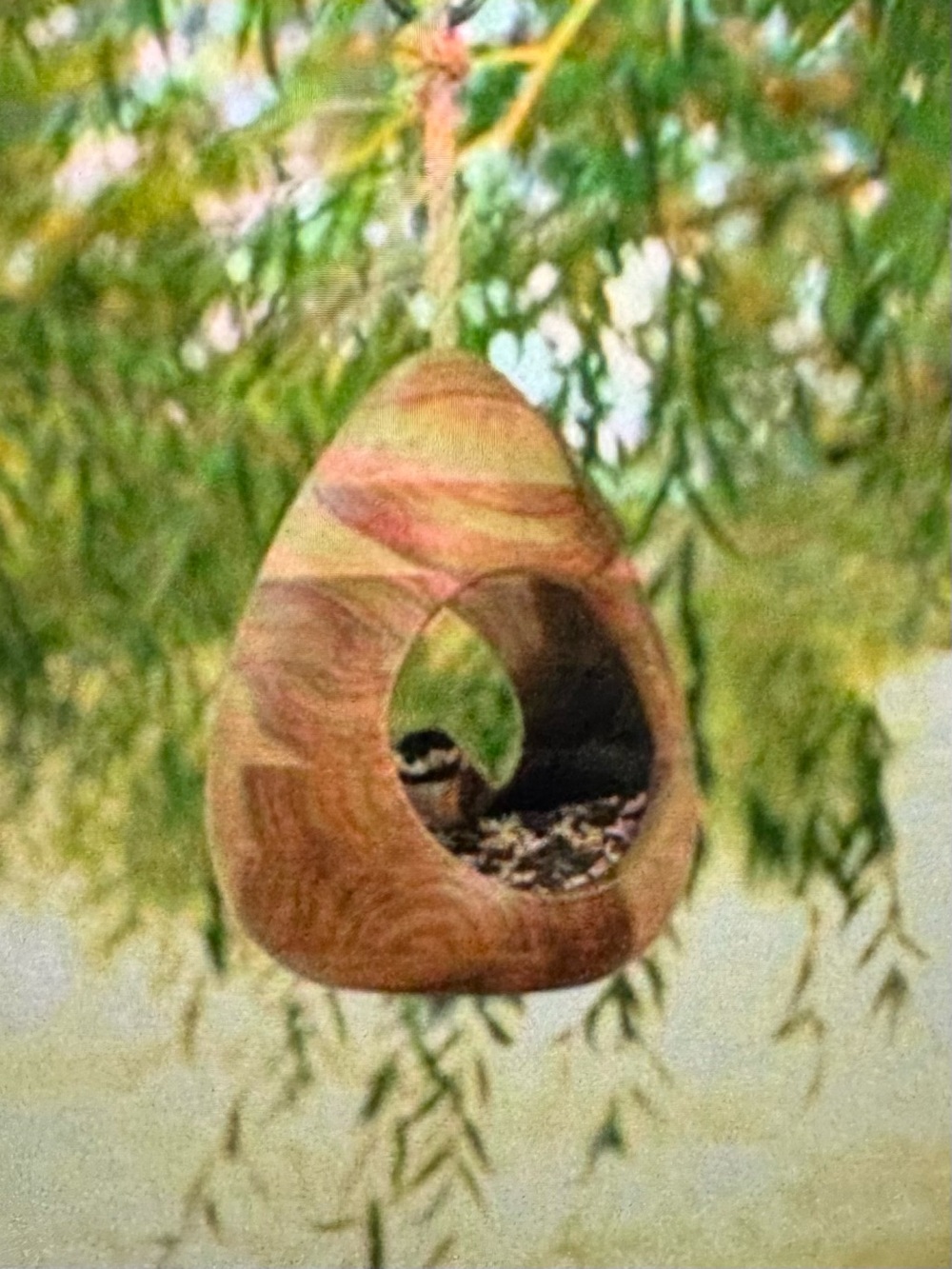 Smith & Hawken Wood bird feeder House